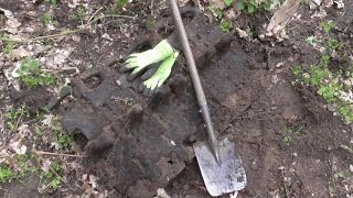 Panzerkette 6 Kettenglieder im Wald gefunden Sondeln Metal Detecting WW2 WK2 [upl. by Mallorie231]