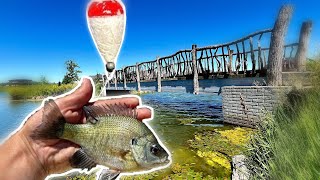 Using LIVE BLUEGILLS On Bobbers For Big Bass In Ponds Success [upl. by Clayborn870]