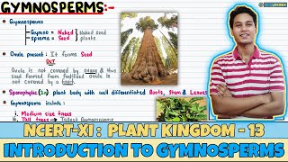 Plant Kingdom Lec 13 Introduction to Gymnosperms Class 11 NEET Neetology [upl. by Llehsam554]