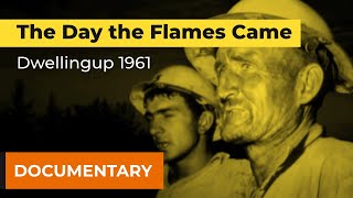 The Day the Flames Came Dwellingup 1961 [upl. by Elyse]