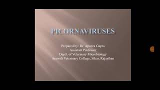 Picornaviridae family  veterinary virology lectures by Dr Apurva Gupta [upl. by Rehportsirhc332]