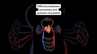 Difference between pulmonary and systemic circulation science biology heart education students [upl. by Jennee]