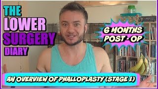 FTM phalloplasty lower surgery overview  stage 1 [upl. by Mundt]