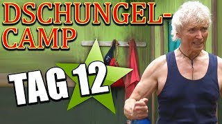 TAG 12 im DSCHUNGELCAMP 2019 PETER ROCKT [upl. by Armyn]