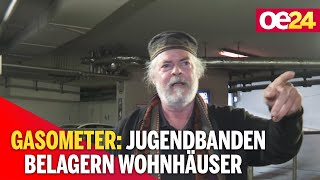 Kriminelles Österreich Jugendbanden belagern Wohnhäuser Gasometer [upl. by Notneuq]