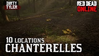 Chanterelle Locations Red Dead Online RDR2 Daily Challenges [upl. by Olracnaig]