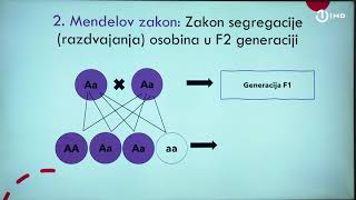 Domaća zadaća za 9 razred Biologija  Mendelovi zakoni [upl. by Yra921]