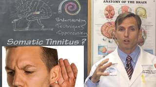 Muscle Tinnitus Is Somatosensory Tinnitus for REAL [upl. by Ofilia857]