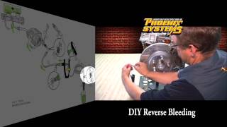 Quick Start to Reverse Brake Bleed with DIY Brake Bleeding Kit [upl. by Mintz]