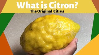 What is Citron The Original Citrus [upl. by Ricarda]