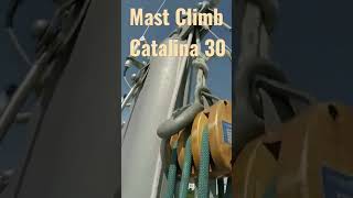 Mast Climb Catalina 30 Sailboat catalina30 shorts [upl. by Naleag]