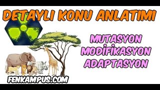 823 Mutasyon Modifikasyon amp 8234 Adaptasyon Tüm örnekleriyle Detaylı Anlatım [upl. by Lambard]