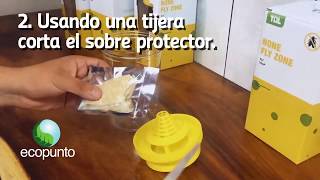 Trampas para moscas Eco Fly Trap [upl. by Pru]