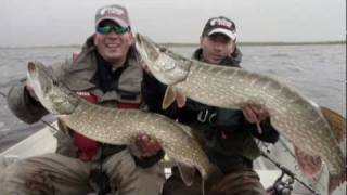 Huge pikes Wielkie szczupaki Fishing in Ireland [upl. by Derek]