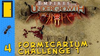 Empires of the Undergrowth  Formicarium Challenge 1  Ant Colony Simulator [upl. by Savior279]