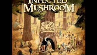 Infected Mushroom  Cant Stop [upl. by Neersin]