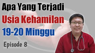 USIA KEHAMILAN 1920 MINGGU eps 8  TANYAKAN DOKTER [upl. by Ohl]