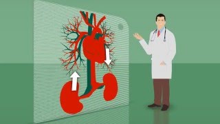 Definição Epidemiologia e Diagnóstico da DRC [upl. by Phoebe]