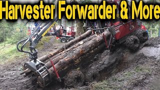 Alstor 840  8X8  Mini Forwarder  Elmia Wood 2017 [upl. by Luise]