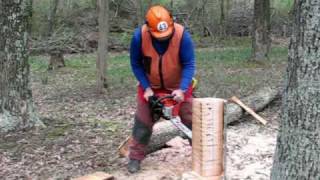 Kickback Demonstration by Chainsaw Instructor Joe Glenn [upl. by Atnicaj]