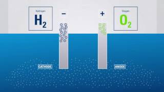 Purification of colloidal solution  Dialysis Electrodialysis  Ultrafiltration [upl. by Elehcir]