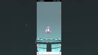 Shiny Mienfoo evoluf in shiny Mienshao pokémon go lets Go [upl. by Schluter902]