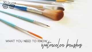 Watercolor Brushes Everything You Need to Know Beginners Series EP 03 [upl. by Sparhawk]