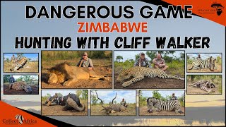 Hunt the 11 yard lion Hunting Dangerous Game with Cliff Walker  Zimbabwe hunting at its best [upl. by Ivanah631]