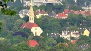 Am Kahlenberg Walzer [upl. by Brogle]