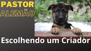 Escolhendo um Criador [upl. by Yeldar]