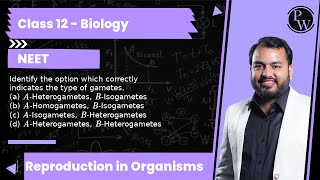 Identify the option which correctly indicates the type of gametes a AHeterogametes BIsoga [upl. by Nahc]