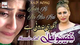 Aankh Hi Na Roi Hai  Best of Naseebo Lal  HITECH MUSIC [upl. by Waite]