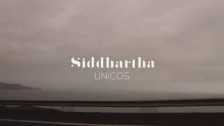 Siddhartha  Únicos Letra [upl. by Nolyaj]