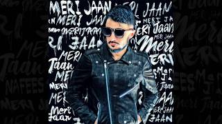 MERI JAAN  Nafees  Official Song  2019 [upl. by Britteny]