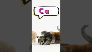 Learn to read  CVC words  3 letter words  Phonics  kindergarten  Preschool [upl. by Ellenahs]