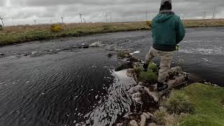 Spring Salmon Fishing on the River Thurso Day2 [upl. by Ilamad]