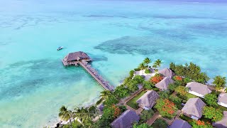 Reef amp Beach Resort  Best accommodation Zanzibar [upl. by Kolb844]