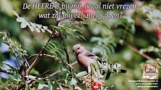 Bijbeltekst zingen Psalm 1186 [upl. by Aikemot5]