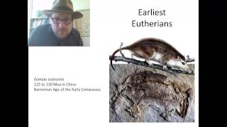 Episode 4 When did Marsupial and Placental Mammals split [upl. by Deirdra]