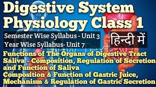 DIGESTIVE SYSTEM  PART 1  PHYSIOLOGY Bsc Nursing GnmAnm [upl. by Akinad242]