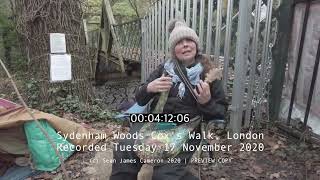 Sydenham Hill Woods Coxs Walk Save the Oaks campaign interview Raw Footage [upl. by Placido]