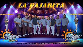 LA PAJARITA DRA ORQUESTA MAR BRAVO ÉXITO 2023 [upl. by Ama]