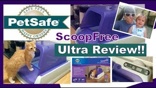 PetSafe ScoopFree Ultra Self Cleaning Litter Box Review [upl. by Hanej974]