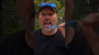 Crazy Tactics To Hook Trout With Hilarious Baits fishing trout troutfishing trolling kayak [upl. by Dicky]