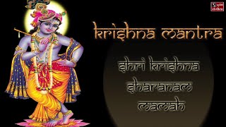 Shri Krishna Sharanam Mamah  Beautiful Krishna Mantra  Niranjan Pandya [upl. by Atival]