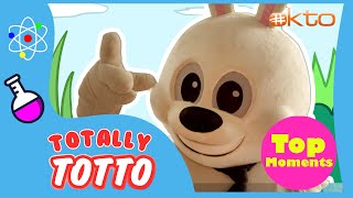 Totally Totto  Top Moments [upl. by Harrow]