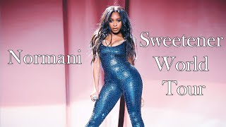 Normani  Live At The Sweetener World Tour  Filmed By You [upl. by Oileduab]