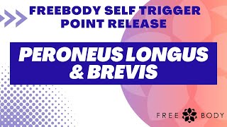 Peroneus Longus and Brevis Self trigger Point Release [upl. by Yajnas]