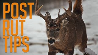 Post Rut Deer Hunting Tips [upl. by Yticilef]