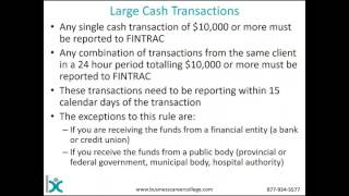 FINTRAC amp Reporting Obligations [upl. by Arak498]